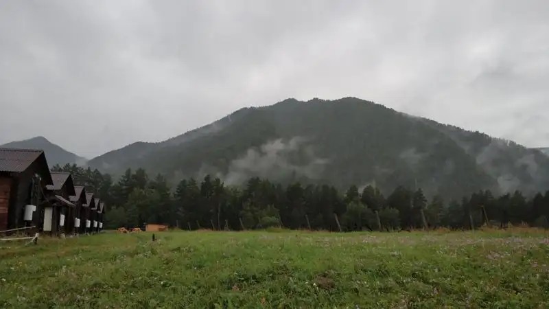 УСАДЬБА ТОЛСТЯКА МО