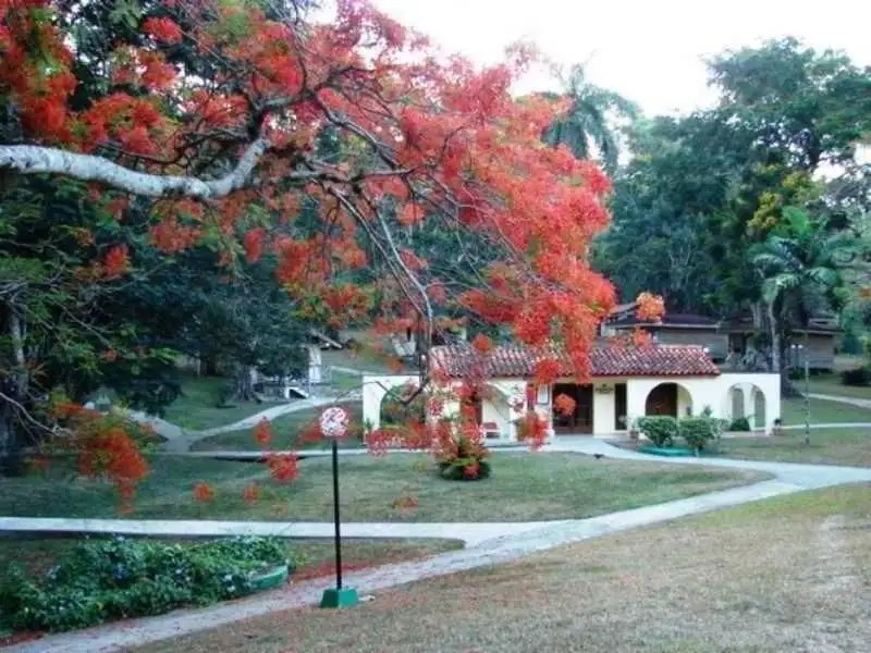 RANCHO SAN VICENTE