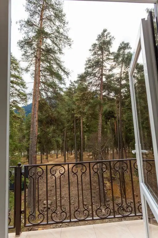 СНЕГИНЪ