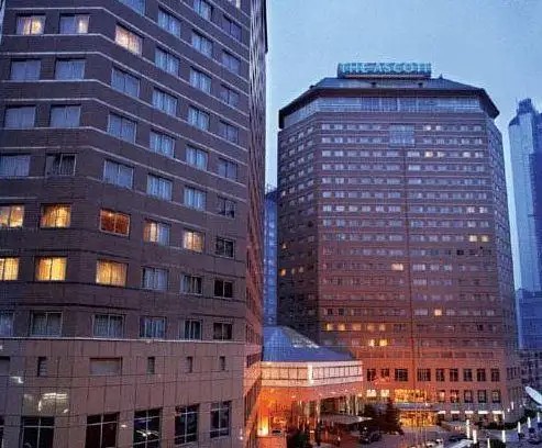 THE ASCOTT