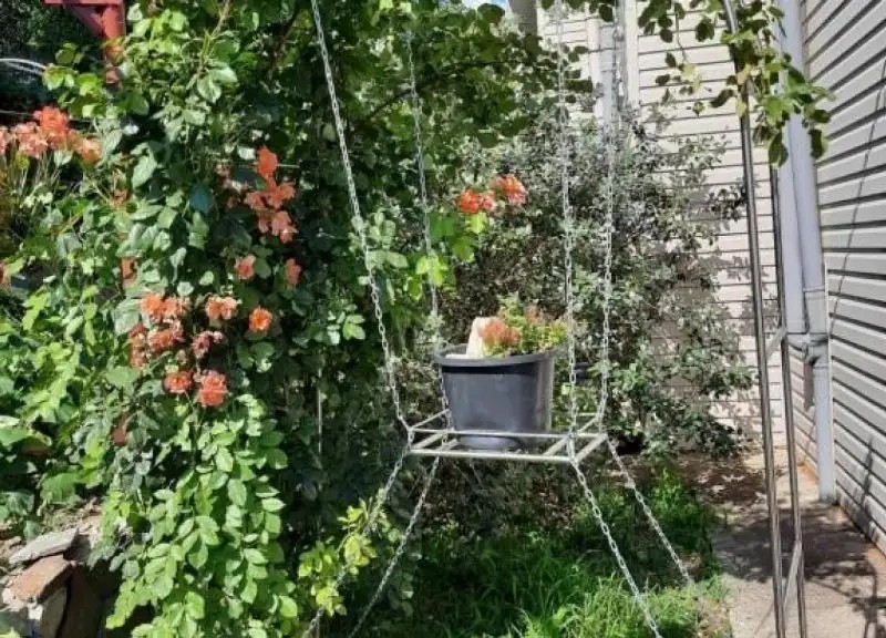 КОТТЕДЖ НА ХВОЙНОЙ