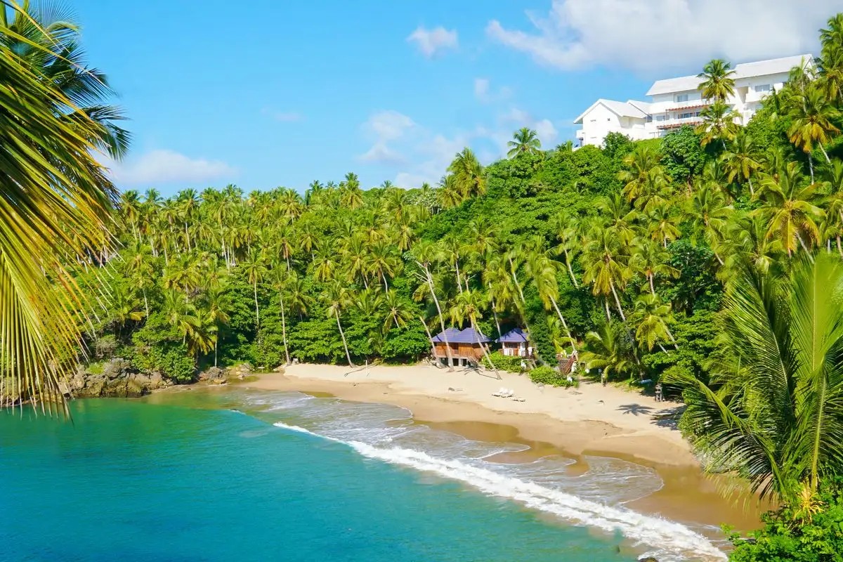 XELITER VISTA MARE SAMANA