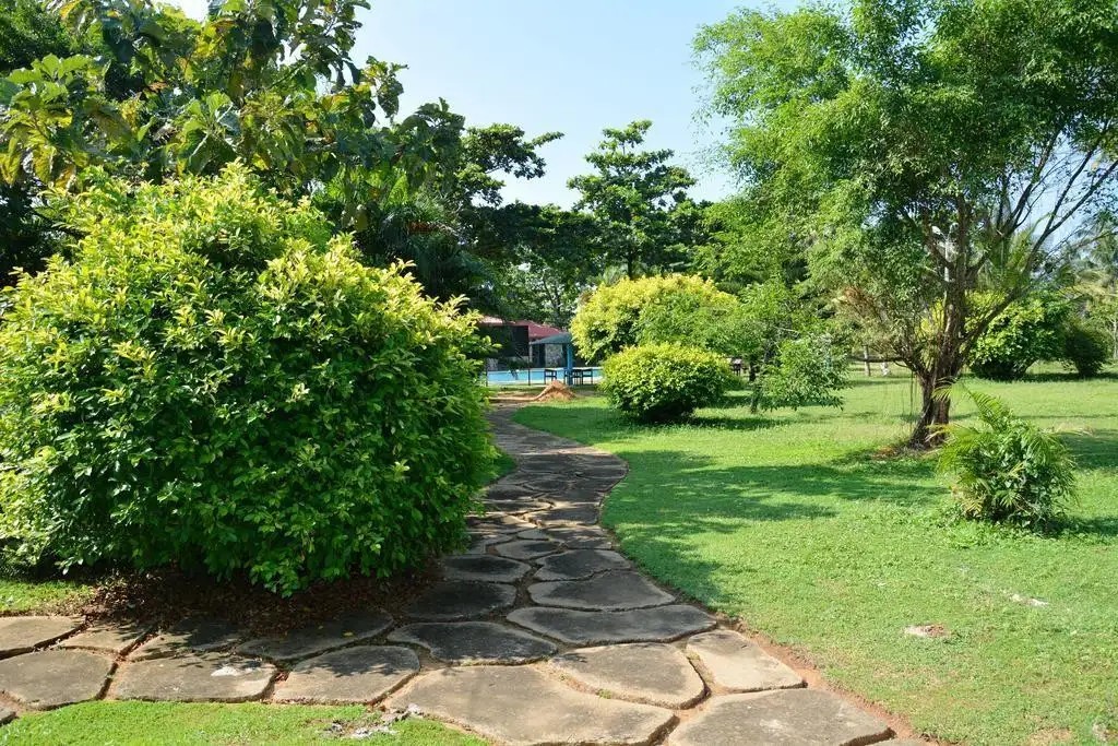 RIVER VIEW