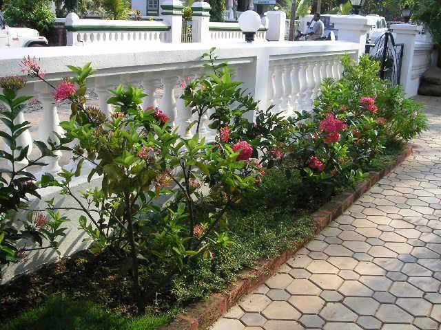 WILLOWS ELITE TOURIST RESORT