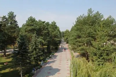 БРЕСТАГРОЗДРАВНИЦА