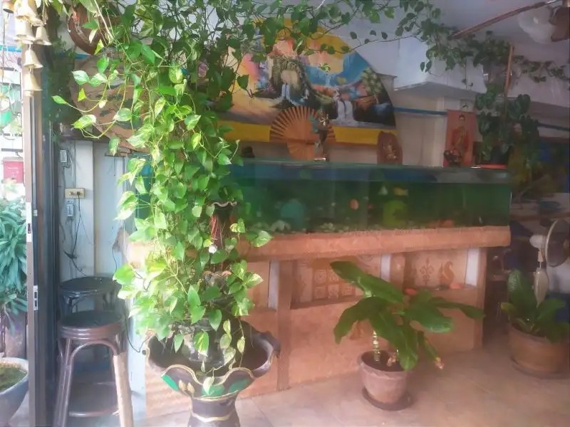 SV HOUSE