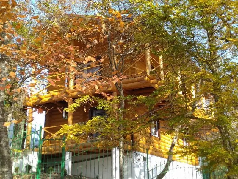 БРЕВЕНЧАТЫЙ