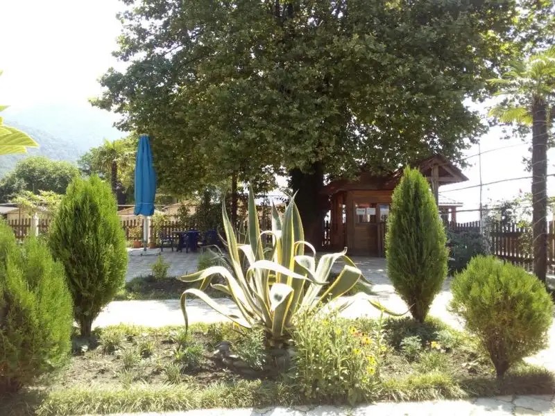 СТАРЫЕ ГАГРЫ