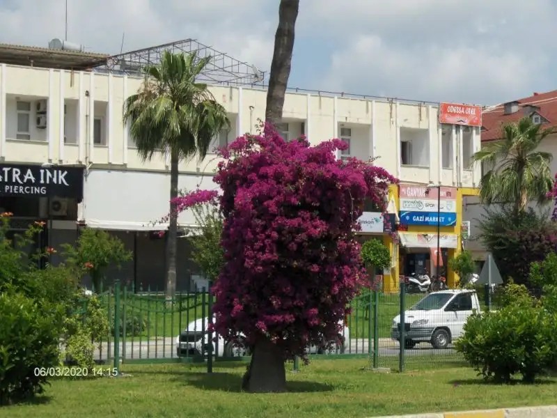 ODESSA OTEL AVSALLAR