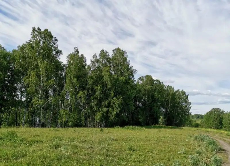 КИНТЕРЕП