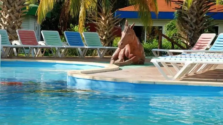 FINCA MARIA DOLORES