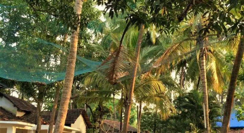 3 COTTAGES