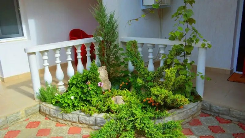 ИТАЛЬЯНСКИЙ ДВОРИК (EL PATIO)