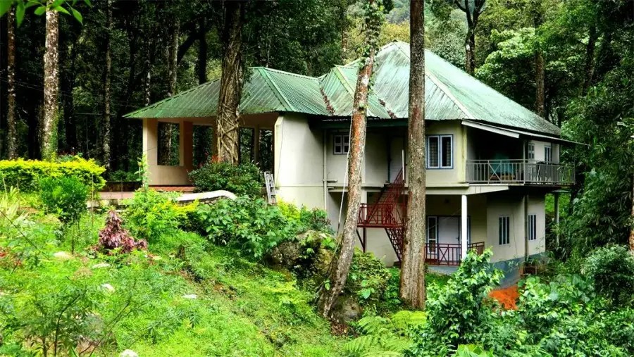 DEEP WOODS RESORT