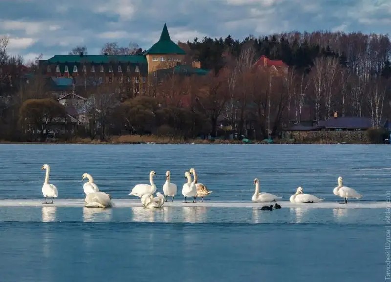 ВАЛДАЙСКИЙ ПАРК