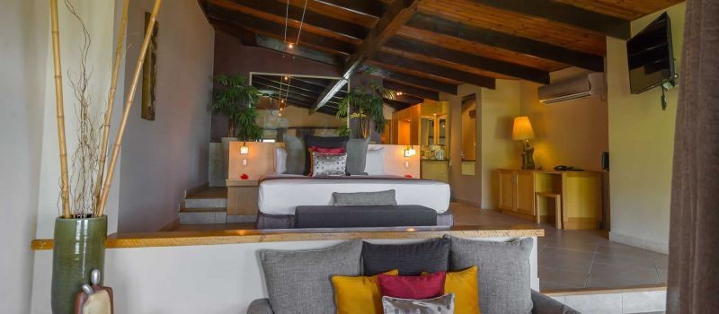 junior suite black parrot