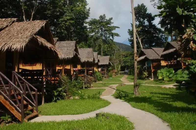 JUNGLE GARDEN