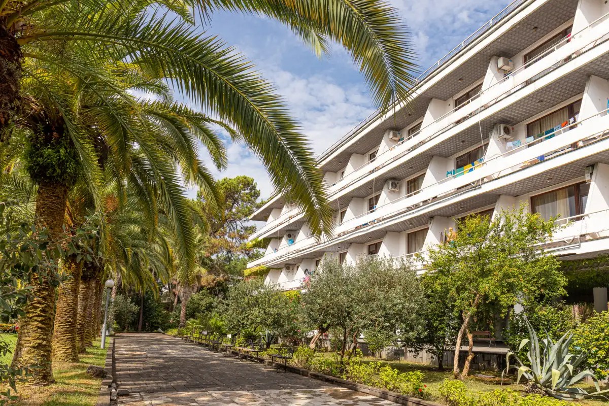 СОСНОВАЯ РОЩА