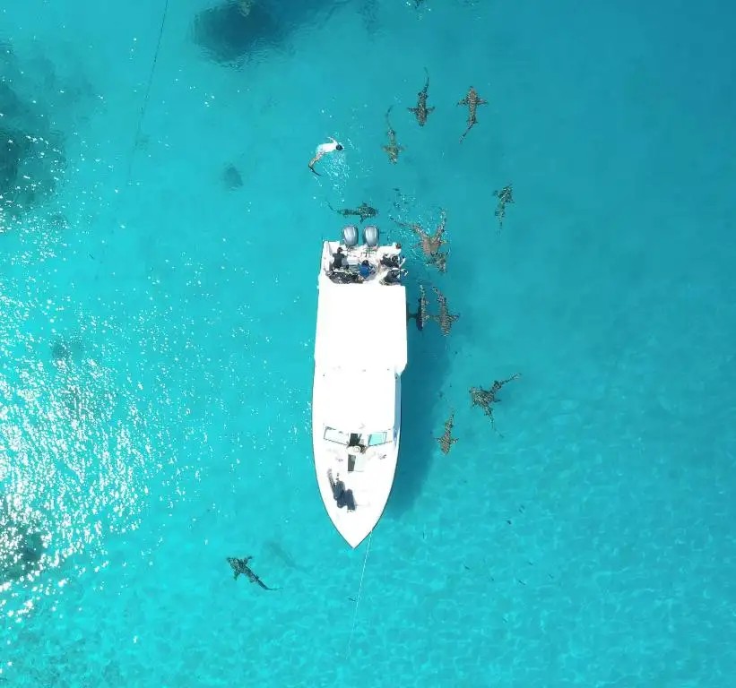 ECOBOO MALDIVES