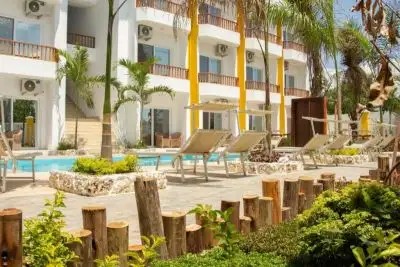 CANARY GOLDEN (EX. CANARY NUNGWI)