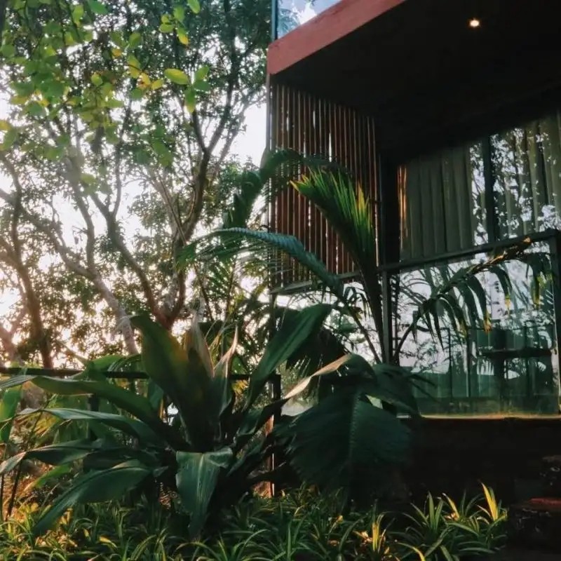 AMAZONIKA RESORT
