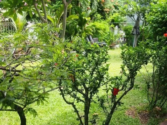VILLA LAMAI  WONG AMAT HOUSE PATTAYA