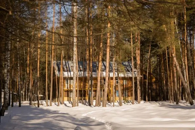 РУССКИЙ ЛЕС