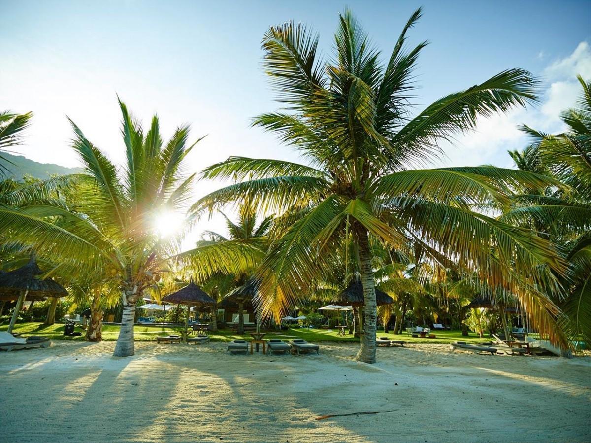 LUX LE MORNE