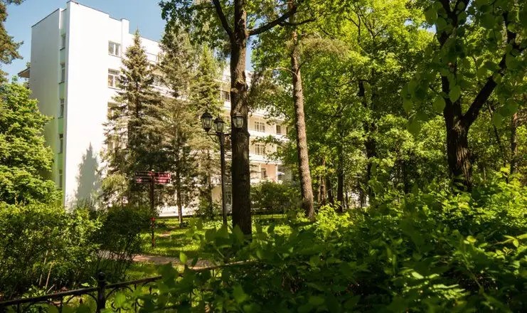 СОСНЫ ЖУКОВКА