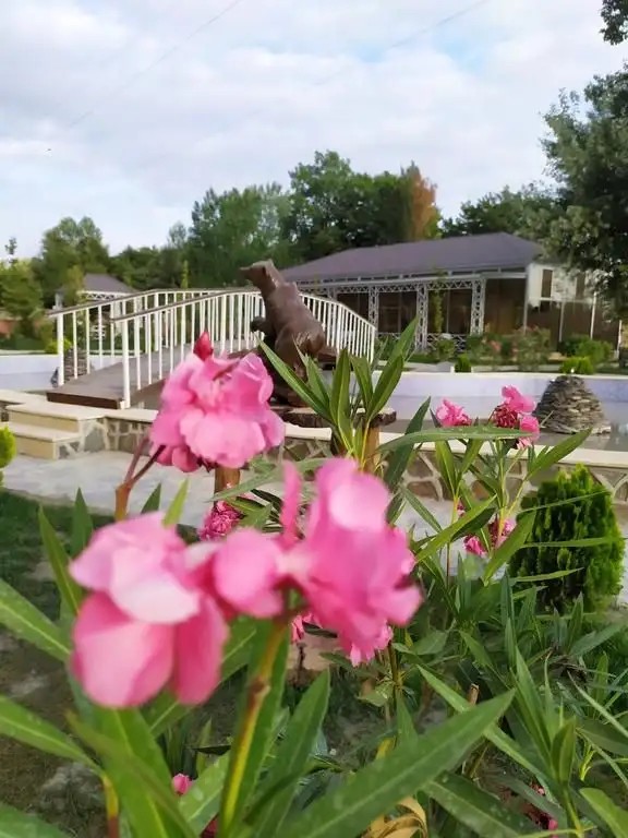 BLISS INN GABALA