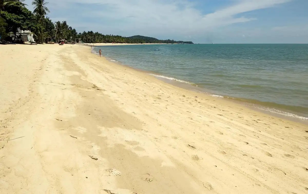 THE HAMMOCK SAMUI BEACH RESORT