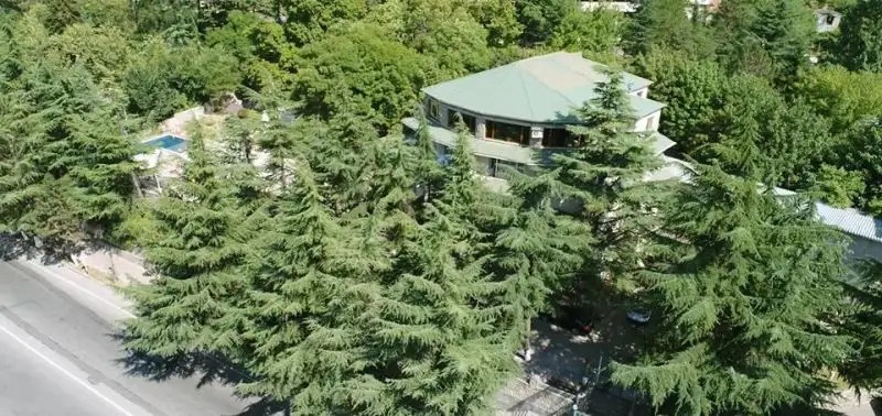 BORJOMI KHEOBA