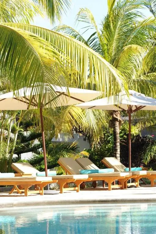 COIN DE MIRE ATTITUDE