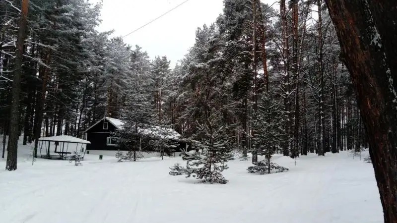ЛУКОМОРЬЕ ПСКОВ