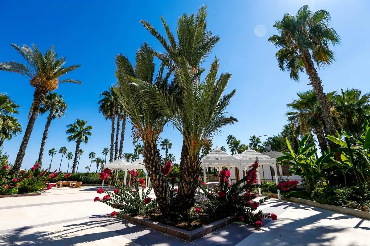 ADORA HOTEL & RESORT (EX. ADORA GOLF RESORT)