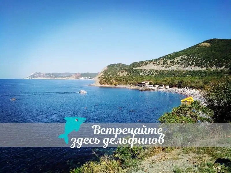 CHARMEL (ШАРМЭЛЬ)