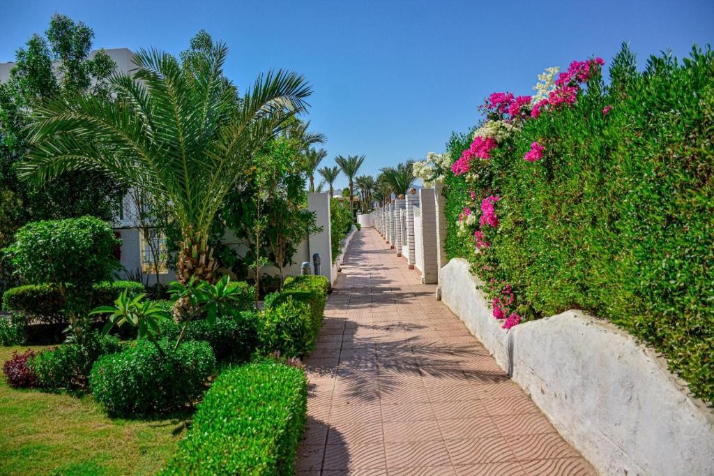 DESERT VIEW SHARM