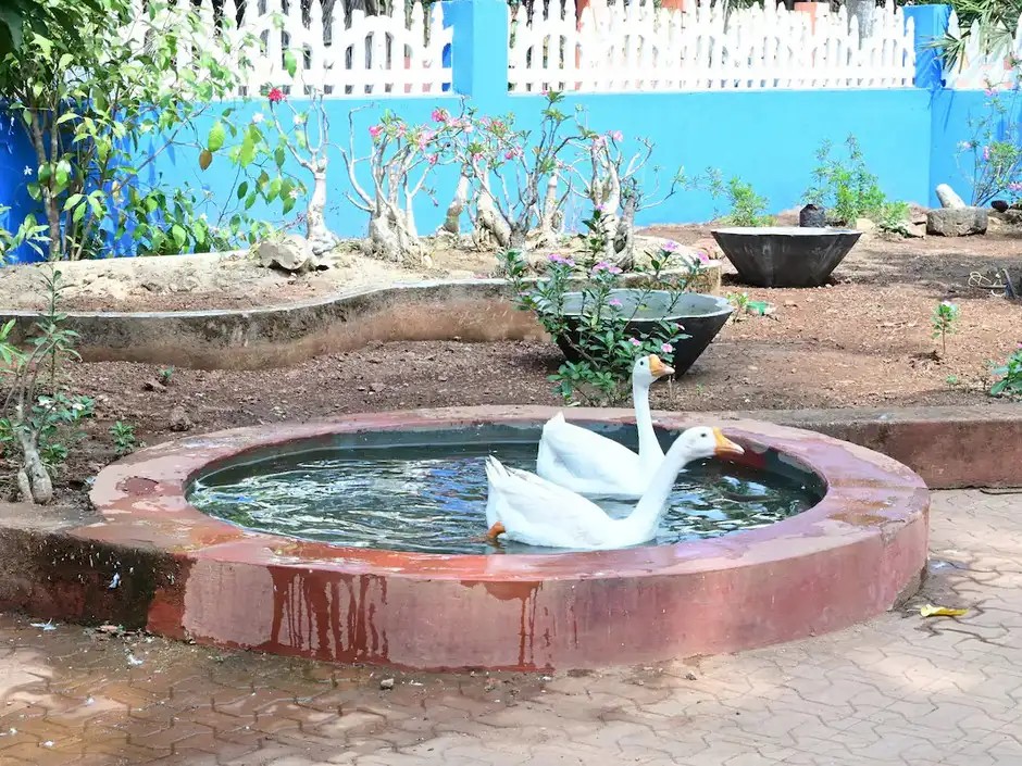 CASA AZUL DE COLVA APARTMENT