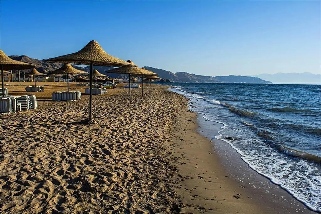 TOLIP RESORT & SPA TABA