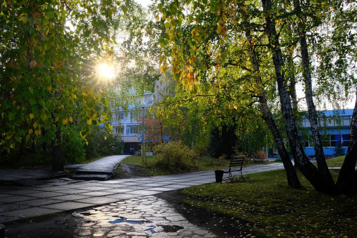 КАРАГАЙСКИЙ БОР