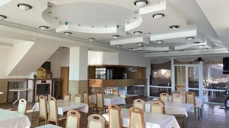 КИВИ (KIVI) МОРСКОЕ
