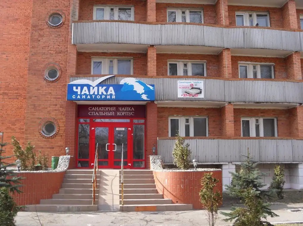 ЧАЙКА ЗЕЛЕНОГРАДСК