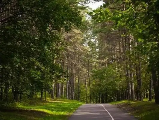 КРОНОН ПАРК ОТЕЛЬ