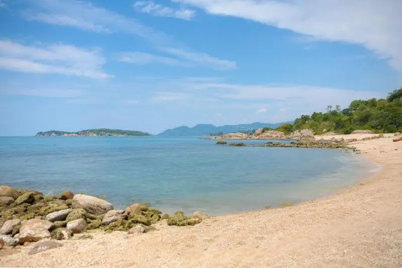 SAMUJANA
