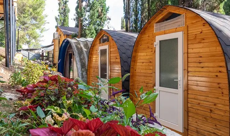 СОЛНЕЧНЫЙ ЛЕТНИЙ