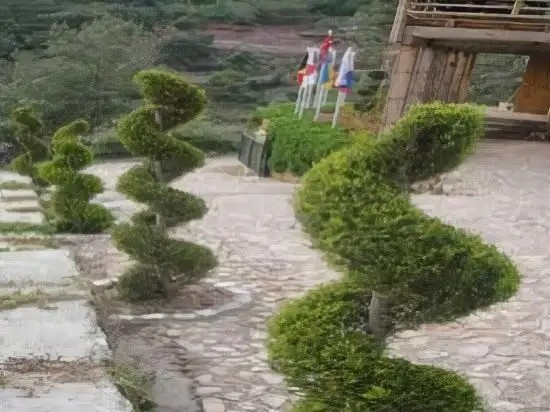 TREE HOUSES