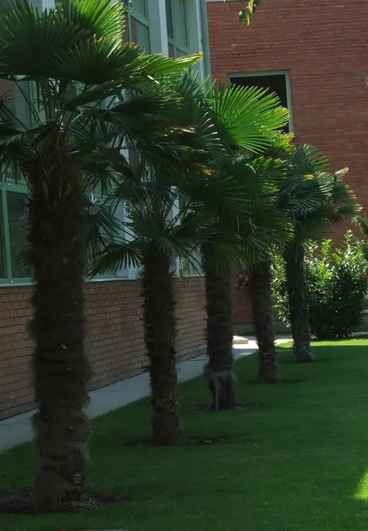 THERMAL HOTEL HARKANY