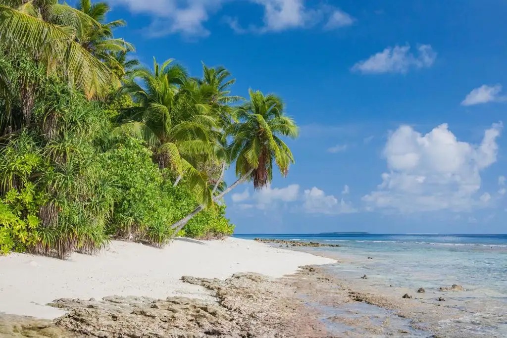 DHONFULHAFI BEACH VIEW & SPA