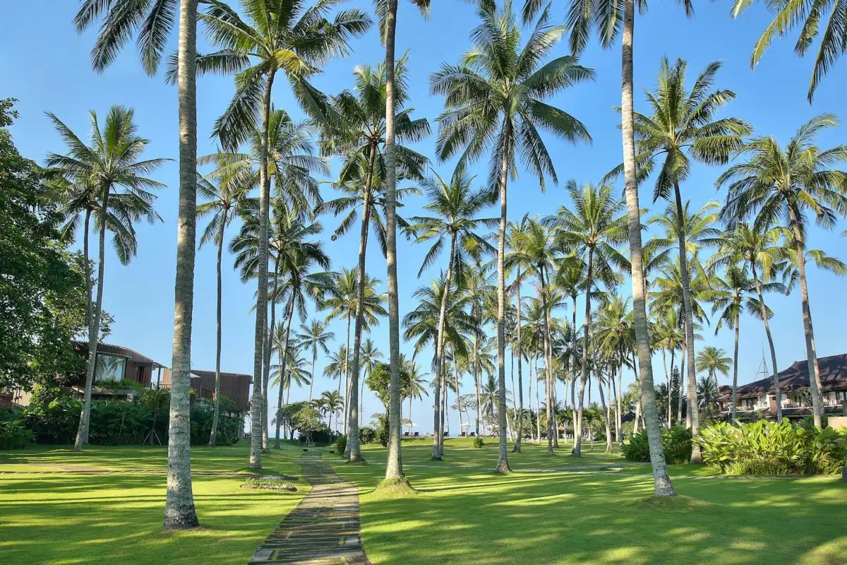 CANDI BEACH RESORT & SPA