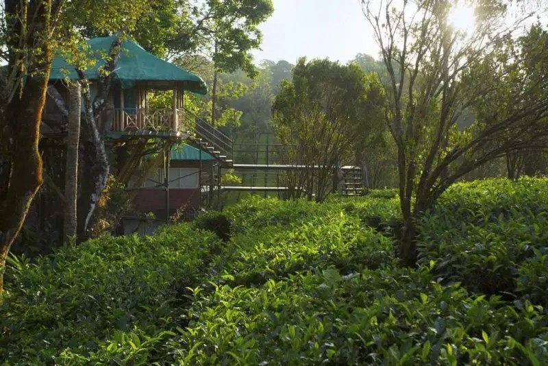 DREAM CATCHER PLANTATION RESORT
